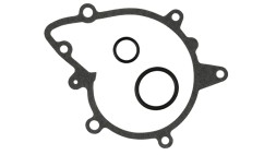 SKF VKPC 88829 Водяна помпа (насос охолодження)