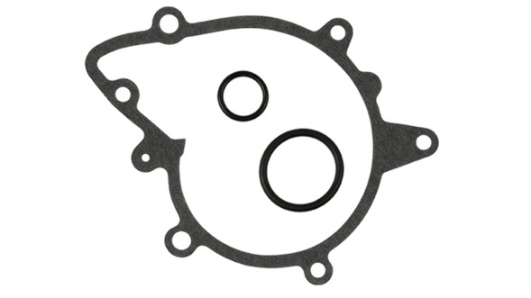 SKF VKPC 88829 Водяна помпа (насос охолодження)