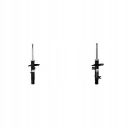 Magnum Technology AGC05 65 2x амортизатори Magnum Technology FRONT L+R для CITROËN C3 II (SC_), C4