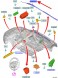 Ford OE 2001554 ЗАВІСА ПРАВА AIRBAG FORD MONDEO MK5 2014- 2184417 _ DS73-N042D94-AM