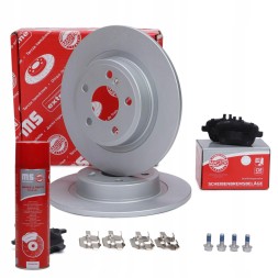 Master-Sport 201053820P Диски + гальмівні колодки задні 201053820