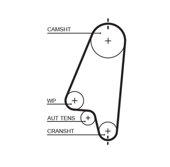 5310XS GATES Пас ГРМ