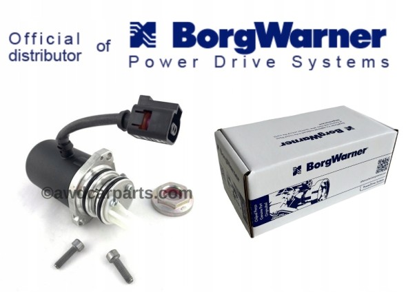 BorgWarner 118609 НОВИНКА! Насос Haldex Pump 8V41-4C019-AA FORD KUGA