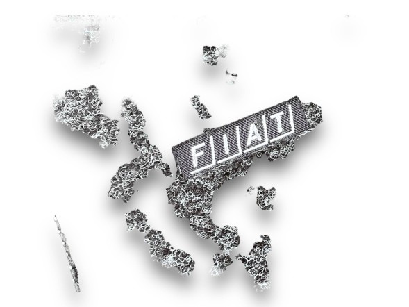 Fiat OE W272 Fiat Ducato КИЛИМКИ ЦІЛІСНІ 2 ШТУКИ FCA OEM 71802946 !J