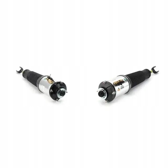Arnott AS-256 32 2x повітряні амортизатори Arnott FRONT L+R для AUDI A8 D3