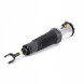 Arnott AS-256 32 2x повітряні амортизатори Arnott FRONT L+R для AUDI A8 D3