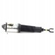 Arnott AS-256 32 2x повітряні амортизатори Arnott FRONT L+R для AUDI A8 D3