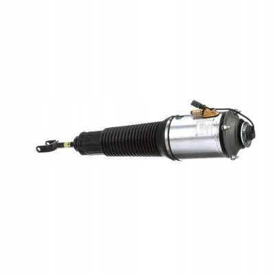 Arnott AS-256 32 2x повітряні амортизатори Arnott FRONT L+R для AUDI A8 D3