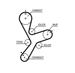 5641XS GATES Пас ГРМ з довжиною кола понад 60 см але не більш як 150см