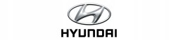 Hyundai OE ЧАША МАСЛЯНА ОРИГІНАЛ HYUNDAI 215102G500