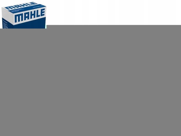 Mahle ACP 813 000S Mahacp813000s_l компресор кондиціонера