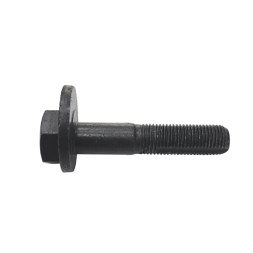 GC0008 CTR Болт з ексцентриком
