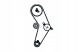 SKF 82402363 SKF Skfvkmc 02206 грм кпл. (Ремінь + рулон + насос + помічник водія #33