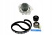 SKF VKMC 02198 SKF/BOX Skf комплект грм насос fiat doblo cargo 1.9 d (