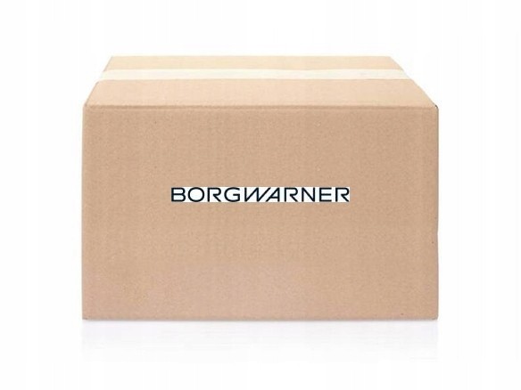 BorgWarner Клапан рециркуляції відпрацьованих газів BorgWarner 729015D