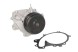 V-maxzone Part VIC-200863 Насос охолоджувальної рідини для MERCEDES C (A205), C (C205), C T-MODEL (S205),