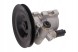 Maxgear 48-0031 Насос гідропідсилювача 48-0031 maxgear opel astra