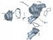 Mercedes-Benz OE TERMOSTAT PLYN WODA OBUDOWA MERCEDES 654920 DIESEL GLB C247 A6542004000 ORYGINAL OE A W177 B W247 BLA X247 ТЕРМОСТАТ MERCEDES A W177 ДИЗЕЛЬ GLB C247 A6542004000 OE