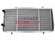 Fast FT55005 Fast ft55005 радіатор охолодження, система охолодження двигуна