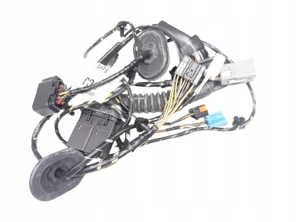 Ford OE Зв'язка проводів правих дверей Focus 04-08 Focus C-MAX 03-07 1458278
