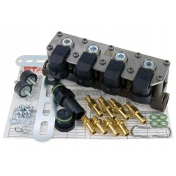 Stag WGM2241AH Ін'єкційна планка змінного струму w02 4 цил stag acw02 w-02 wgm2241ah