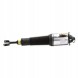 Arnott AS-277 87 2x повітряні амортизатори Arnott FRONT L+R для AUDI A8 D3