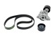 Nissan OE Натягувач поліклинового ременя з ременем 1172000QAY Renault 2.2/2.5 dCi