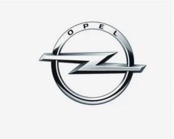 Opel OE 39172273 Повітряне кермо з крослендом 1.5