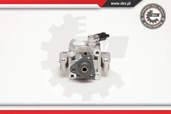 ESEN SKV 10SKV088 Насос гідропідсилювача 10skv088 esen skv