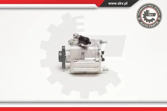 ESEN SKV 10SKV088 Насос гідропідсилювача 10skv088 esen skv