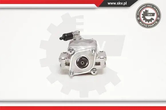 ESEN SKV 10SKV088 Насос гідропідсилювача 10skv088 esen skv