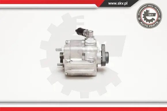 ESEN SKV 10SKV088 Насос гідропідсилювача 10skv088 esen skv