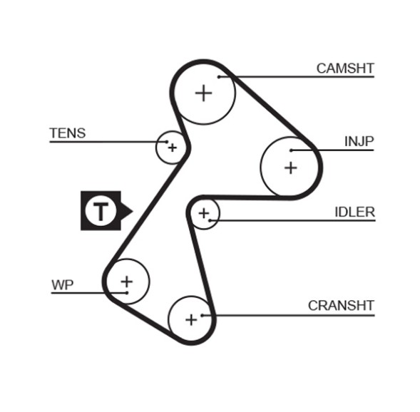 5484XS GATES Пас ГРМ
