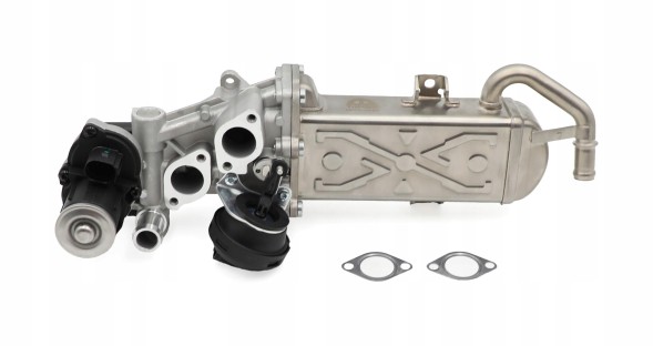 TOPGER EG-VW-106-EG Клапан EGR TOPGER для легкових автомобілів, заміна P, європейська версія