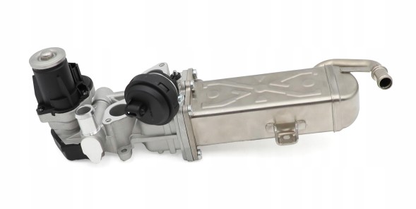 TOPGER EG-VW-106-EG Клапан EGR TOPGER для легкових автомобілів, заміна P, європейська версія