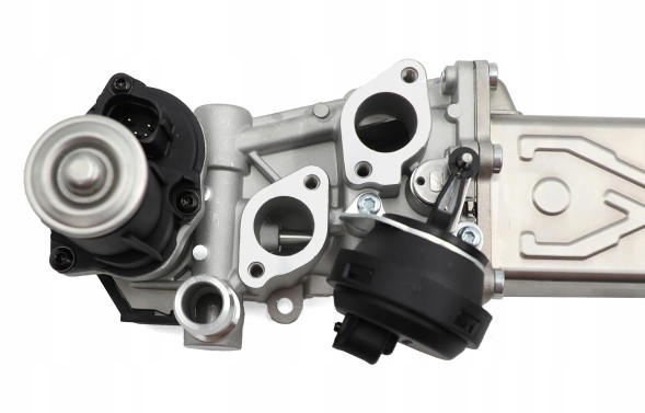 TOPGER EG-VW-106-EG Клапан EGR TOPGER для легкових автомобілів, заміна P, європейська версія