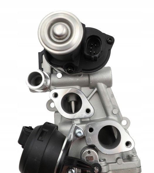 TOPGER EG-VW-106-EG Клапан EGR TOPGER для легкових автомобілів, заміна P, європейська версія