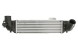 Thermotec DA03002TT Охолоджувач впускного повітря thermotec da03002tt