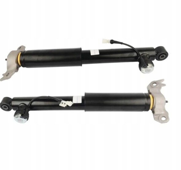 Borg PL822040 Комплект задніх амортизаторів Borg FlexRide газово-масляних