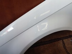 Tong Yang BŁOTNIK LEWY AUDI A3 8P LIFT LY9C БРИЗКОВИК ЛІВИЙ AUDI A3 8P ЛІФТ LY9C