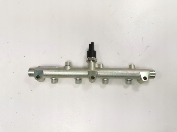 Citroen OE Паливна рейка Citroen C5 C8 Peugeot Expert OE 0445214017 1570.A0