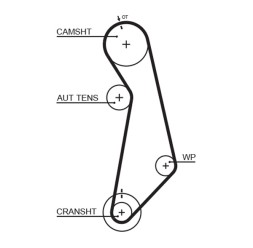 5489XS GATES Пас ГРМ