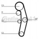 Continental CT1028WP4 Комплект грм + водяний насос ct1028wp4