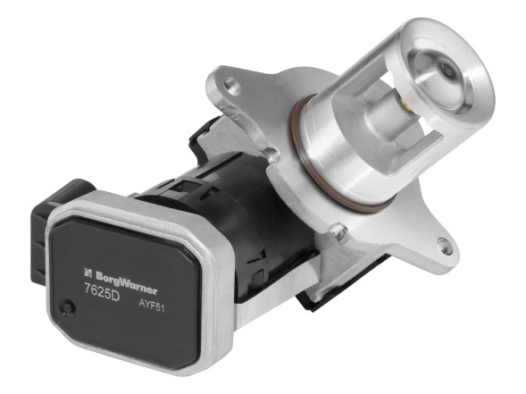 BorgWarner 7625D АГР клапан