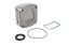 V-maxzone Part VIC-128717 Циліндрова головка компресора повітря 15 14 50 для IVECO EUROCARGO