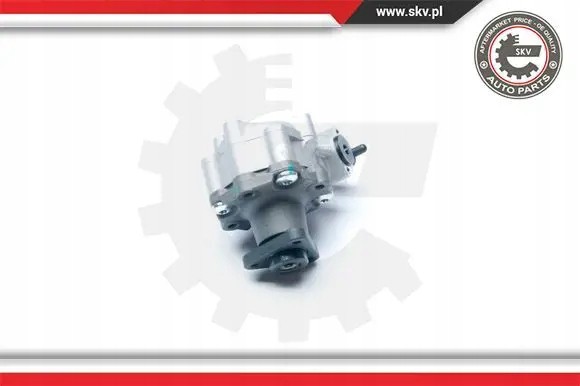 ESEN SKV 10SKV186 Насос гідропідсилювача 10skv186 esen skv audi