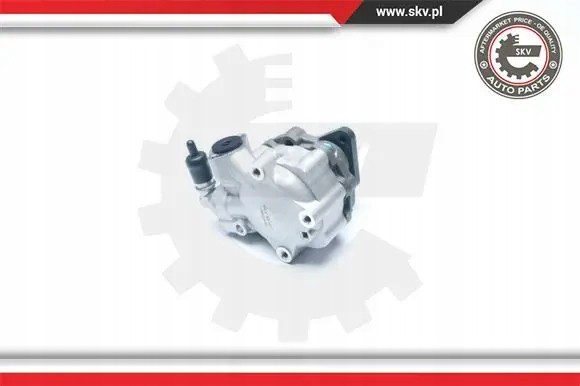 ESEN SKV 10SKV186 Насос гідропідсилювача 10skv186 esen skv audi