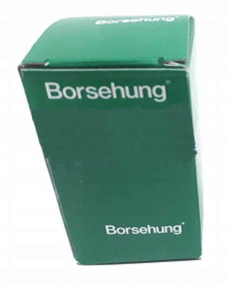 Borsehung B18213 Комплект гідравлічного штовхача borsehung vag