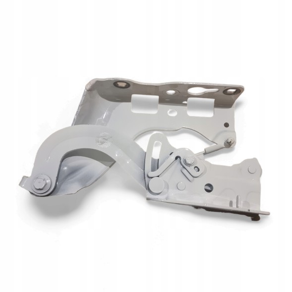 Mercedes-Benz OE A2138800128 A2138800228 Z007 ДЛЯ МЕРСЕДЕС W213 W238 W257 W290 ШАРНІР КАПОТА A2138800128 A2138800228