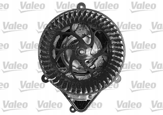 Valeo 698041 Повітродувний вентилятор припливу 698041 valeo citroen